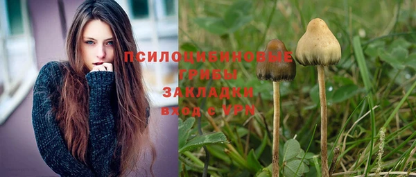 винт Заводоуковск