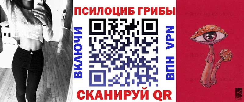 где купить наркоту  блэк спрут tor  Псилоцибиновые грибы Cubensis  Кандалакша 